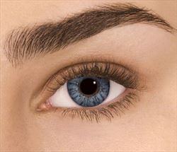 Freshlook Color- Blue